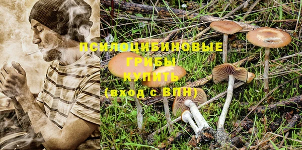 альфа пвп Козельск