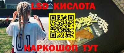 гидра Донской