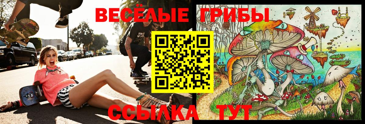 Псилоцибиновые грибы прущие грибы Миллерово
