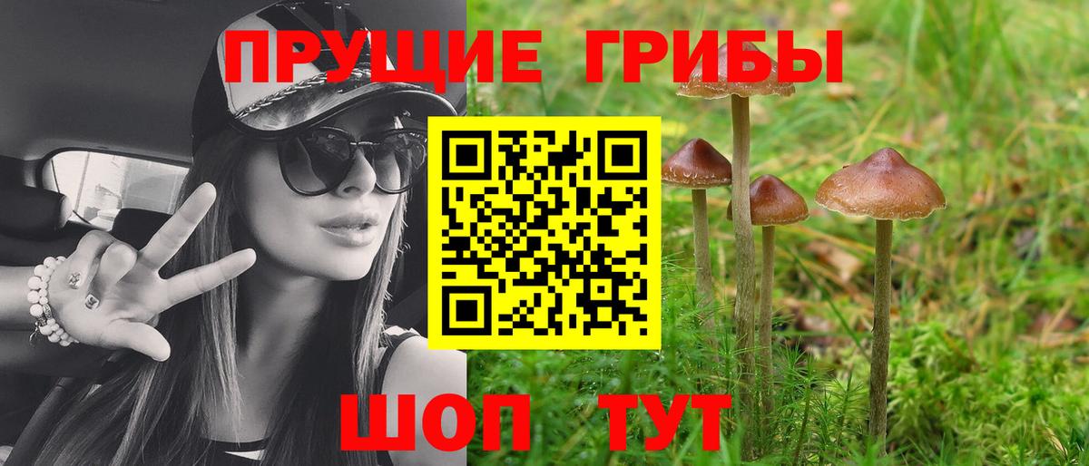 Миллерово  Псилоцибиновые грибы Magic Shrooms  Псилоцибиновые грибы прущие грибы  сколько стоит  Вход с VPN 